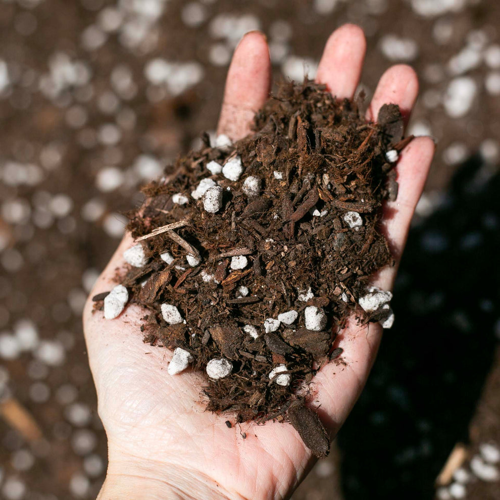 Premium Potting Mix - 8QT