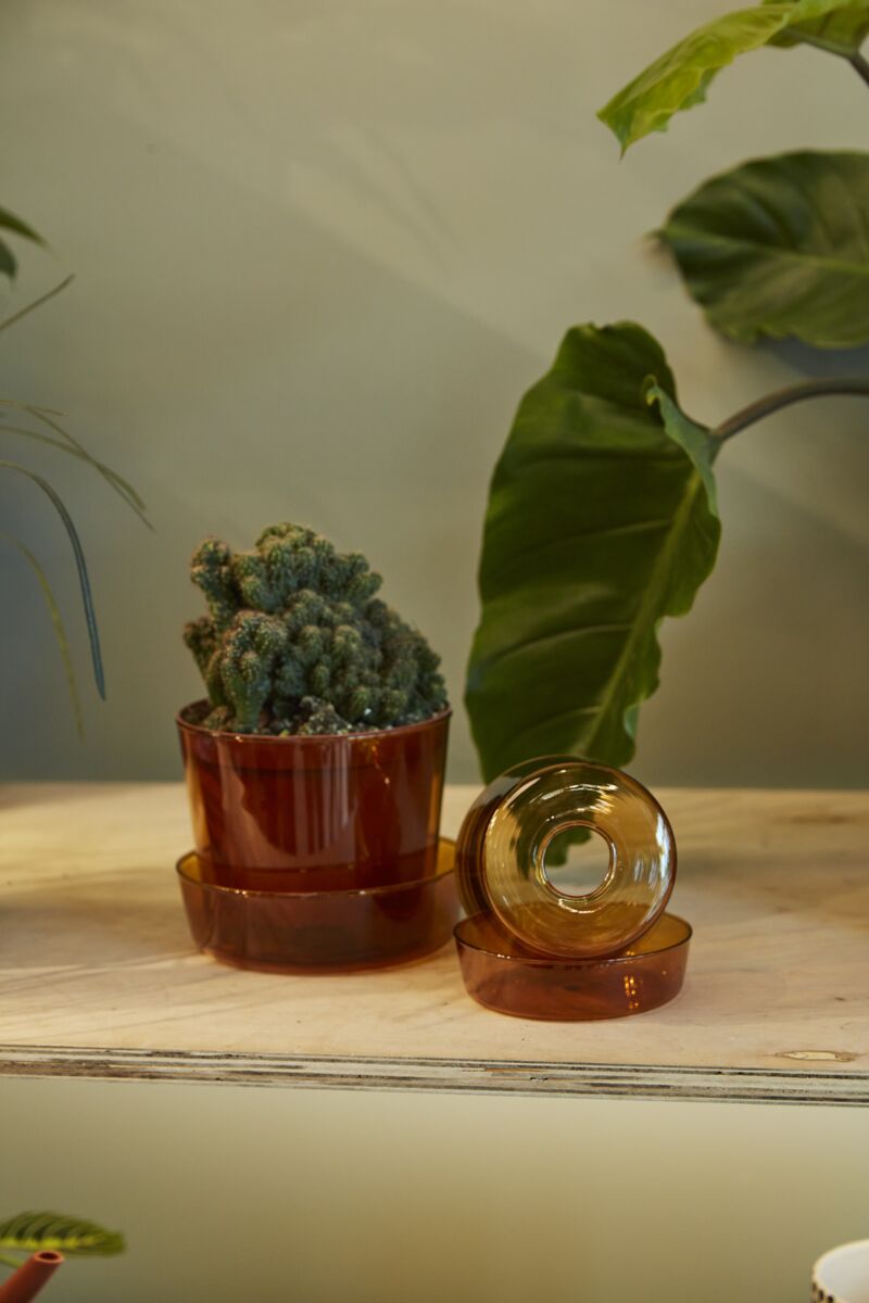 Clear Glass Pot with Saucer