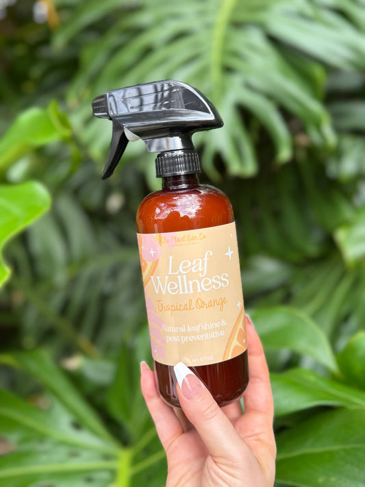 Leaf Shine & Wellness Spray