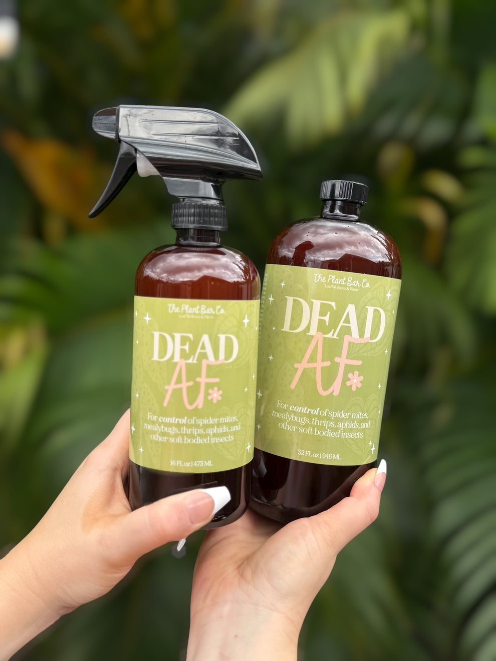 Dead AF Pest Solution